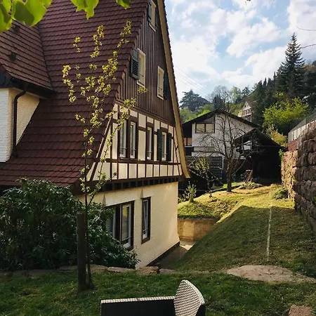 Familienglueck Im Schwarzwaldhaus Mit Schlossblick Hébergement de vacances *