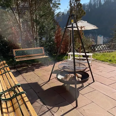 Familienglueck Im Schwarzwaldhaus Mit Schlossblick Hébergement de vacances Neuenburg (Enz)