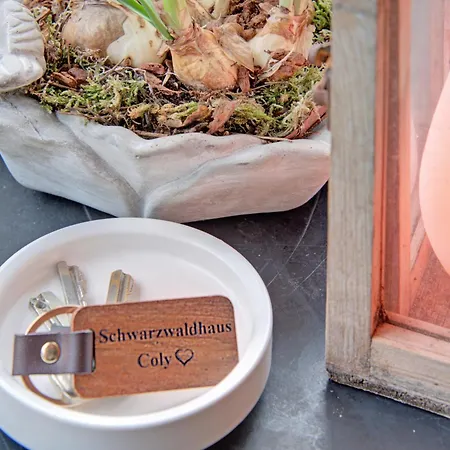 Familienglück Im Schwarzwaldhaus Mit Schlossblick * Neuenburg (Enz)