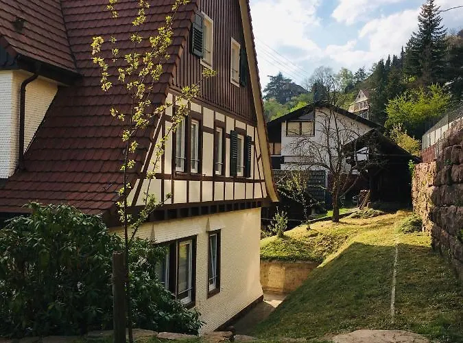 Familienglueck Im Schwarzwaldhaus Mit Schlossblick Nyaraló *