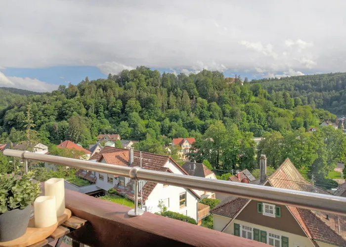 Familienglueck Im Schwarzwaldhaus Mit Schlossblick *